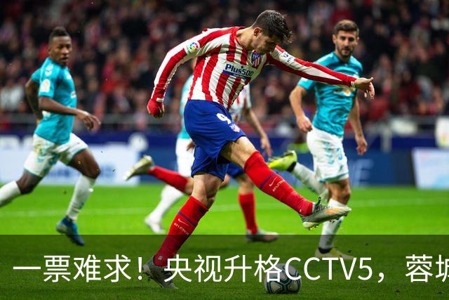 一票难求！央视升格CCTV5，蓉城打平即夺冠，韦世豪4场停赛告别赛季