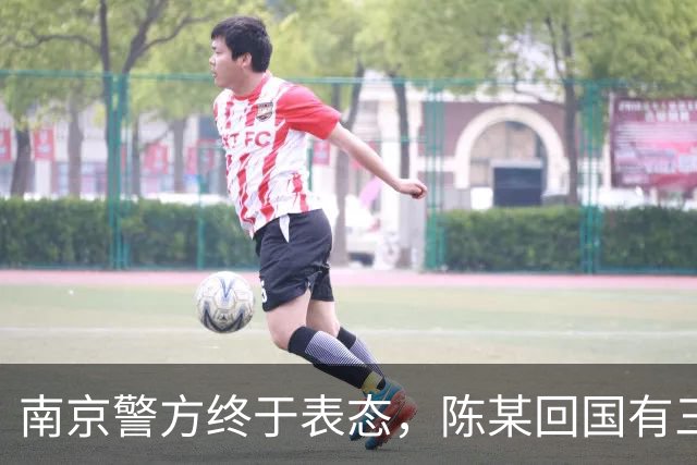 南京警方终于表态，陈某回国有三大后果等着，查清公费谜团是重点