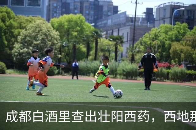 成都白酒里查出壮阳西药，西地那非与酒同饮可能危及生命
