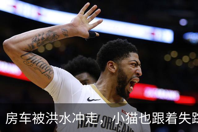 房车被洪水冲走，小猫也跟着失踪，8天后它突然回家了，全家人都哭了
