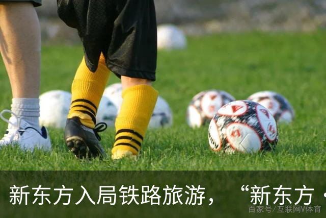 新东方入局铁路旅游，“新东方·霞客号”列车12月自北京站始发