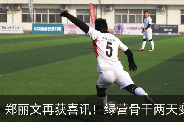 郑丽文再获喜讯！绿营骨干两天变蓝