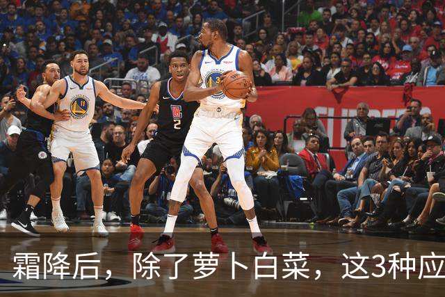 霜降后，除了萝卜白菜，这3种应季蔬菜要多吃，鲜嫩营养，润燥养人，好吃还不贵！