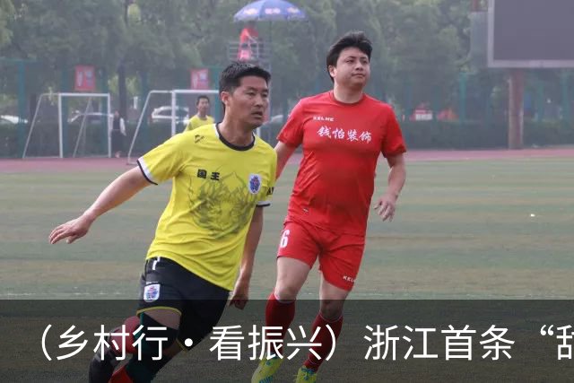 （乡村行·看振兴）浙江首条“甜”野智慧赛道：跑出农文旅融合“科技味”