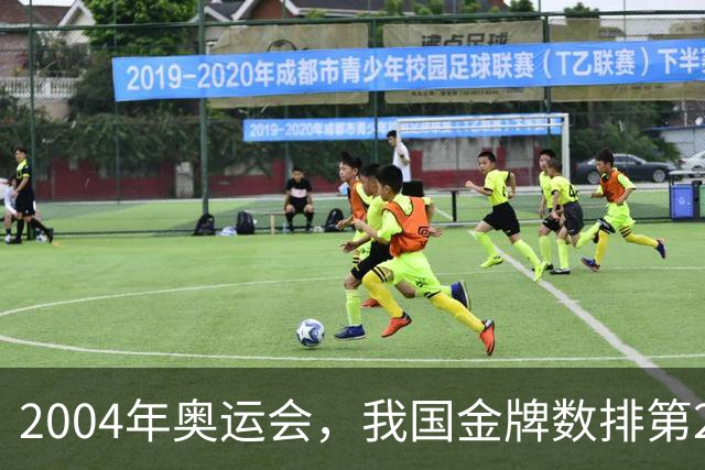 2004年奥运会，我国金牌数排第2，袁伟民却说：我们不是体育强国